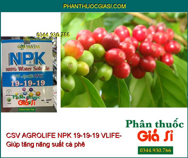 CSV AGROLIFE NPK 19-19-19 VLIFE- Dưỡng Hoa- Trái Lớn Đều- Chống Méo Trái