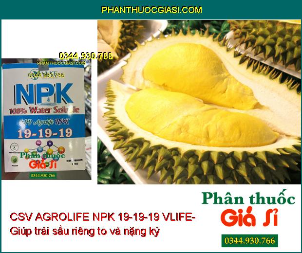 CSV AGROLIFE NPK 19-19-19 VLIFE- Dưỡng Hoa- Trái Lớn Đều- Chống Méo Trái