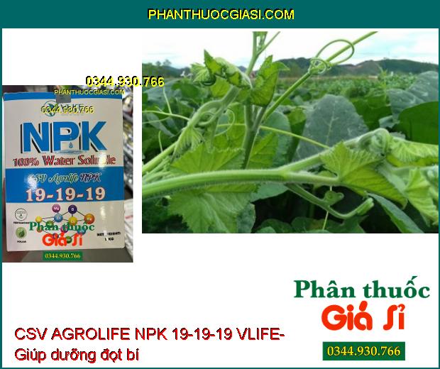 CSV AGROLIFE NPK 19-19-19 VLIFE- Dưỡng Hoa- Trái Lớn Đều- Chống Méo Trái