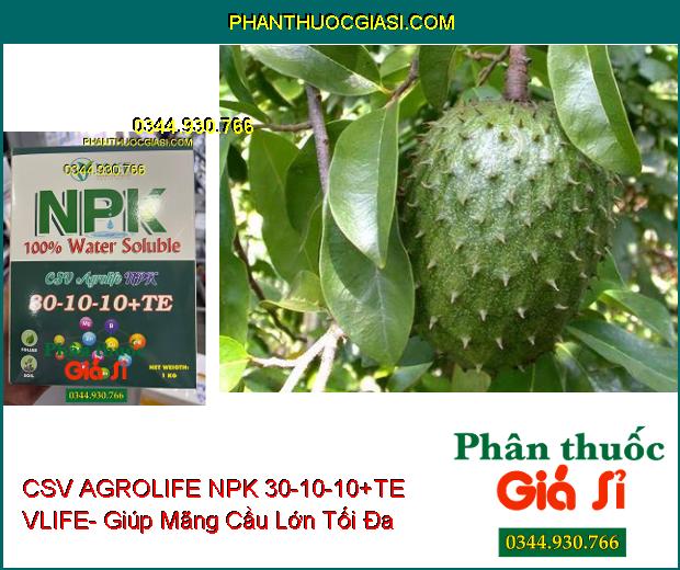 CSV AGROLIFE NPK 30-10-10+TE VLIFE- Giúp Cây Phát Triển Tốt- Tăng Sức Đề Kháng