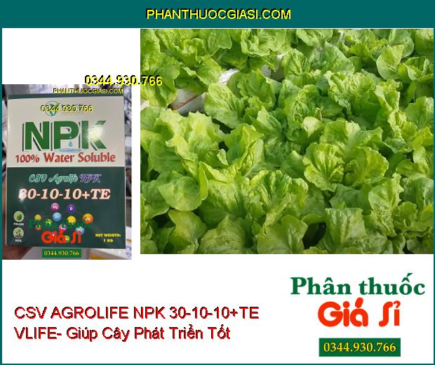 CSV AGROLIFE NPK 30-10-10+TE VLIFE- Giúp Cây Phát Triển Tốt- Tăng Sức Đề Kháng