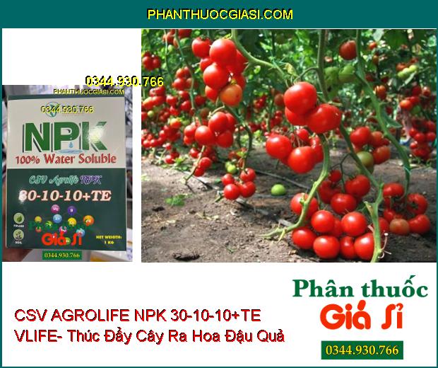 CSV AGROLIFE NPK 30-10-10+TE VLIFE- Giúp Cây Phát Triển Tốt- Tăng Sức Đề Kháng