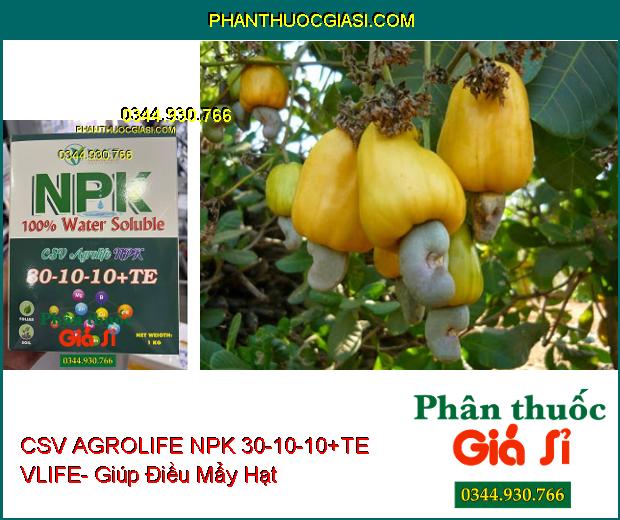 CSV AGROLIFE NPK 30-10-10+TE VLIFE- Giúp Cây Phát Triển Tốt- Tăng Sức Đề Kháng