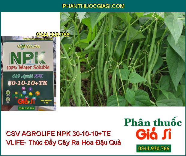 CSV AGROLIFE NPK 30-10-10+TE VLIFE- Giúp Cây Phát Triển Tốt- Tăng Sức Đề Kháng