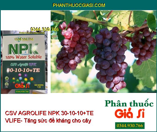 CSV AGROLIFE NPK 30-10-10+TE VLIFE- Giúp Cây Phát Triển Tốt- Tăng Sức Đề Kháng