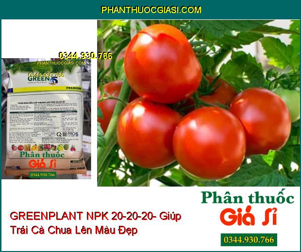 GREENPLANT NPK 20-20-20- Thân Cây Chắc Khỏe- Nuôi Trái Lớn- Đẹp Trái