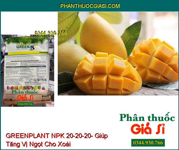 GREENPLANT NPK 20-20-20- Thân Cây Chắc Khỏe- Nuôi Trái Lớn- Đẹp Trái