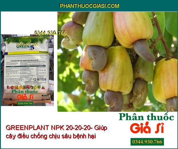 GREENPLANT NPK 20-20-20- Thân Cây Chắc Khỏe- Nuôi Trái Lớn- Đẹp Trái