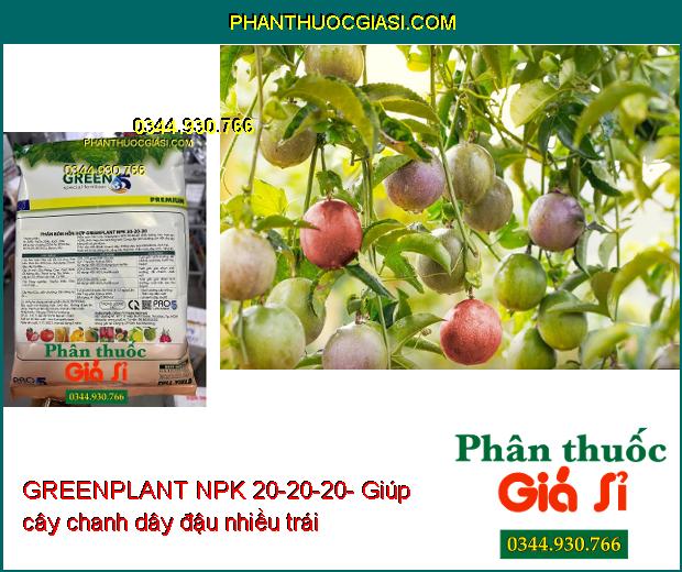 GREENPLANT NPK 20-20-20- Thân Cây Chắc Khỏe- Nuôi Trái Lớn- Đẹp Trái