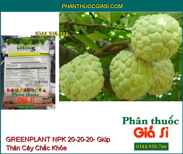 GREENPLANT NPK 20-20-20- Thân Cây Chắc Khỏe- Nuôi Trái Lớn- Đẹp Trái