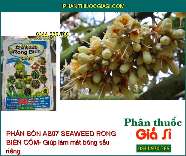 PHÂN BÓN AB07 SEAWEED RONG BIỂN CỐM