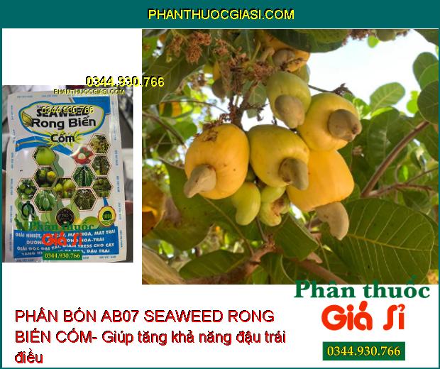 PHÂN BÓN AB07 SEAWEED RONG BIỂN CỐM