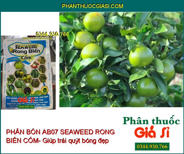 PHÂN BÓN AB07 SEAWEED RONG BIỂN CỐM