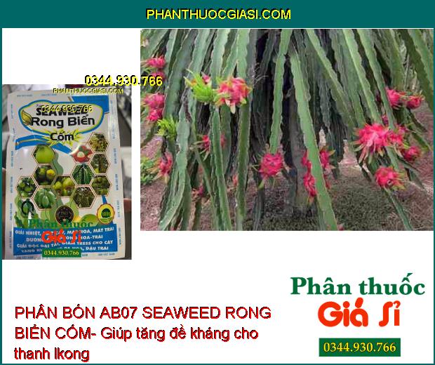 PHÂN BÓN AB07 SEAWEED RONG BIỂN CỐM