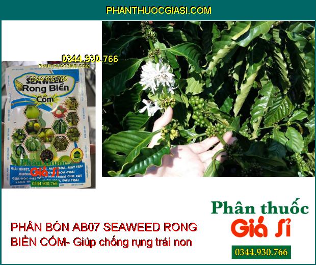 PHÂN BÓN AB07 SEAWEED RONG BIỂN CỐM