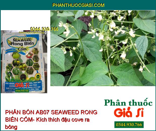 PHÂN BÓN AB07 SEAWEED RONG BIỂN CỐM