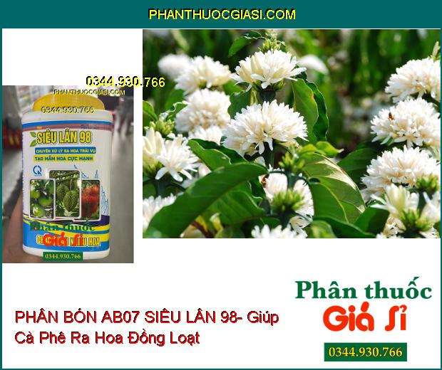 PHÂN BÓN AB07 SIÊU LÂN 98