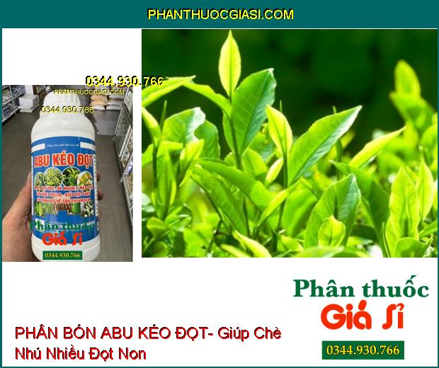 PHÂN BÓN ABU KÉO ĐỌT- Giải Độc Phèn- Ra Rễ- Vọt Đọt- Phục Hồi Cây Sau Thu Hoạch