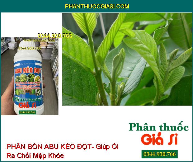 PHÂN BÓN ABU KÉO ĐỌT- Giải Độc Phèn- Ra Rễ- Vọt Đọt- Phục Hồi Cây Sau Thu Hoạch