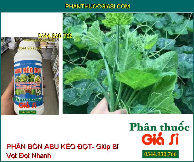 PHÂN BÓN ABU KÉO ĐỌT- Giải Độc Phèn- Ra Rễ- Vọt Đọt- Phục Hồi Cây Sau Thu Hoạch