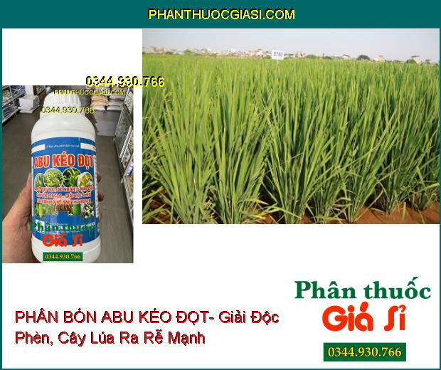 PHÂN BÓN ABU KÉO ĐỌT- Giải Độc Phèn- Ra Rễ- Vọt Đọt- Phục Hồi Cây Sau Thu Hoạch