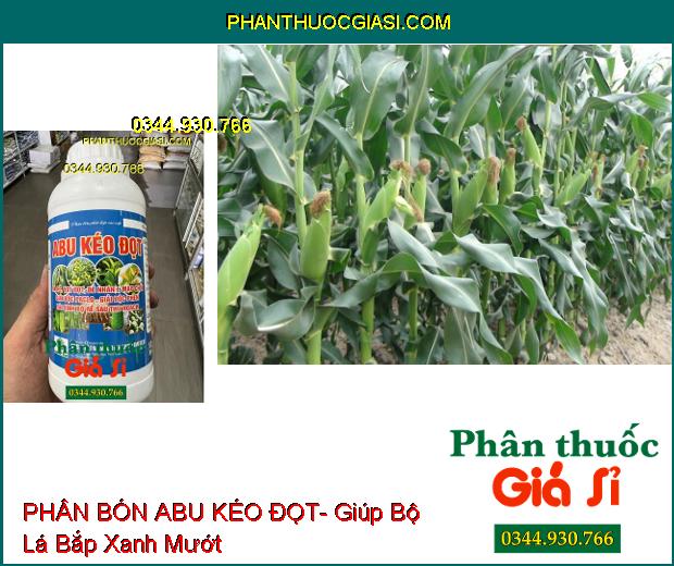 PHÂN BÓN ABU KÉO ĐỌT- Giải Độc Phèn- Ra Rễ- Vọt Đọt- Phục Hồi Cây Sau Thu Hoạch