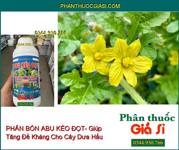 PHÂN BÓN ABU KÉO ĐỌT- Giải Độc Phèn- Ra Rễ- Vọt Đọt- Phục Hồi Cây Sau Thu Hoạch