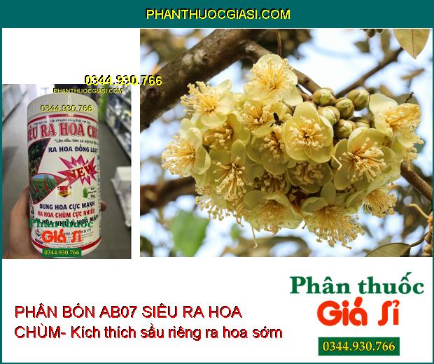 PHÂN BÓN AB07 SIÊU RA HOA CHÙM