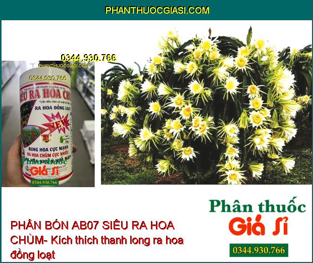 PHÂN BÓN AB07 SIÊU RA HOA CHÙM