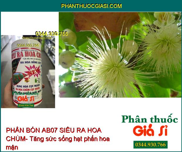 PHÂN BÓN AB07 SIÊU RA HOA CHÙM