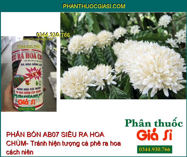 PHÂN BÓN AB07 SIÊU RA HOA CHÙM