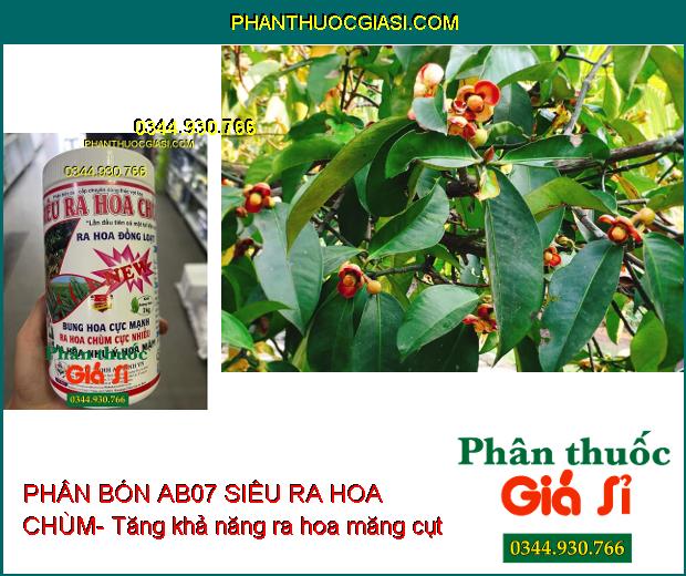 PHÂN BÓN AB07 SIÊU RA HOA CHÙM