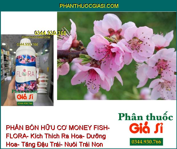 PHÂN BÓN HỮU CƠ MONEY FISH- FLORA- Kích Thích Ra Hoa- Dưỡng Hoa- Tăng Đậu Trái- Nuôi Trái Non