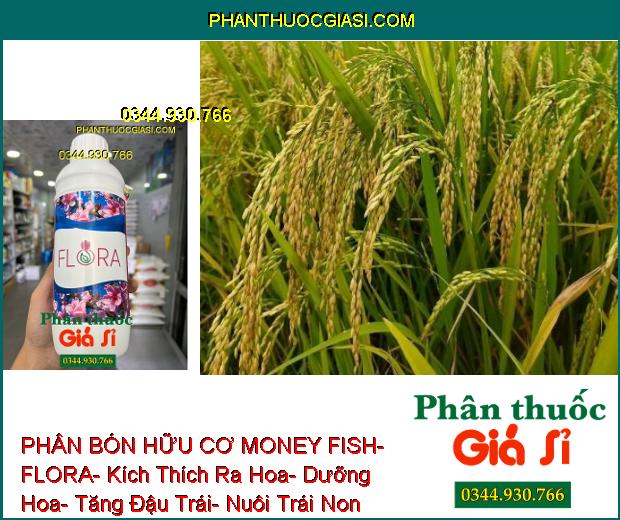 PHÂN BÓN HỮU CƠ MONEY FISH- FLORA- Kích Thích Ra Hoa- Dưỡng Hoa- Tăng Đậu Trái- Nuôi Trái Non