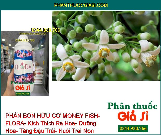 PHÂN BÓN HỮU CƠ MONEY FISH- FLORA- Kích Thích Ra Hoa- Dưỡng Hoa- Tăng Đậu Trái- Nuôi Trái Non