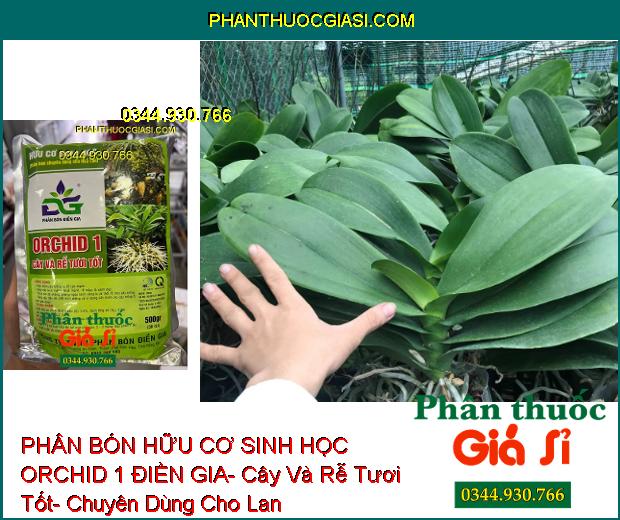 PHÂN BÓN HỮU CƠ SINH HỌC ORCHID 1 ĐIỀN GIA- Cây Và Rễ Tươi Tốt- Chuyên Dùng Cho Lan