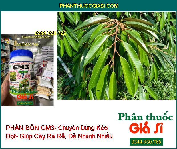 PHÂN BÓN GM3- Chuyên Dùng Kéo Đọt- Ra Rễ Cực Mạnh- Đẻ Nhánh Nhiều