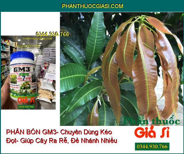 PHÂN BÓN GM3- Chuyên Dùng Kéo Đọt- Ra Rễ Cực Mạnh- Đẻ Nhánh Nhiều