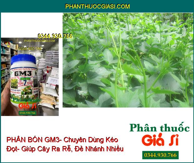 PHÂN BÓN GM3- Chuyên Dùng Kéo Đọt- Ra Rễ Cực Mạnh- Đẻ Nhánh Nhiều