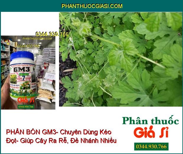 PHÂN BÓN GM3- Chuyên Dùng Kéo Đọt- Ra Rễ Cực Mạnh- Đẻ Nhánh Nhiều