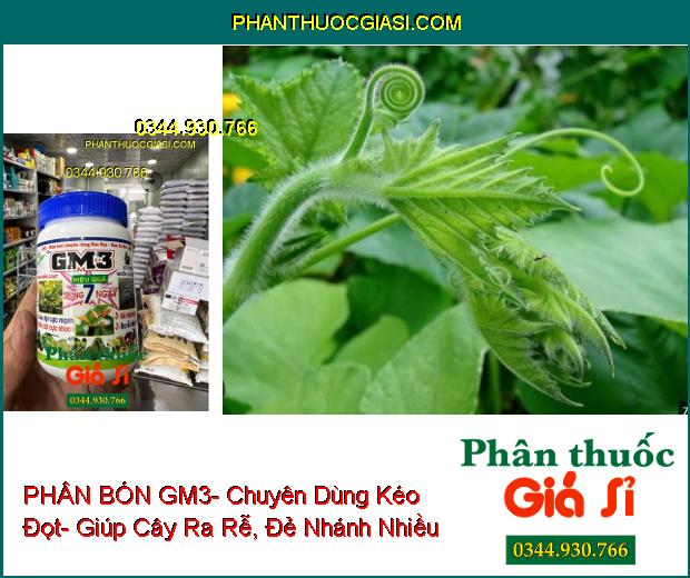 PHÂN BÓN GM3- Chuyên Dùng Kéo Đọt- Ra Rễ Cực Mạnh- Đẻ Nhánh Nhiều