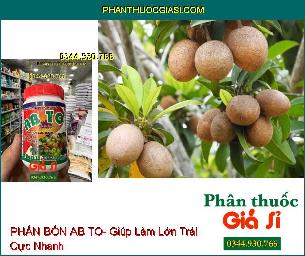 PHÂN BÓN AB TO- Phì Trái Cực Mạnh- Lớn Trái Cực Nhanh- Ngọt Trái