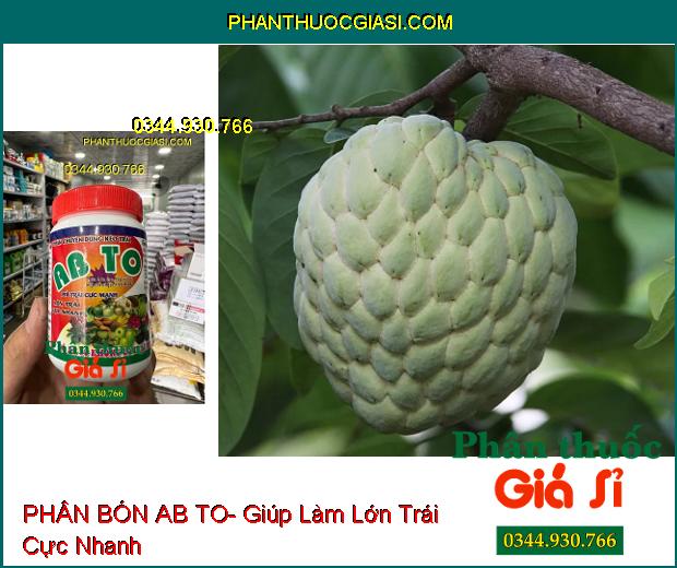 PHÂN BÓN AB TO- Phì Trái Cực Mạnh- Lớn Trái Cực Nhanh- Ngọt Trái