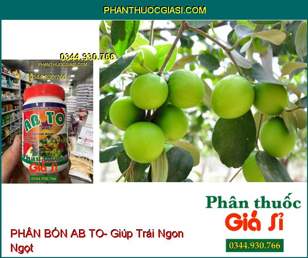 PHÂN BÓN AB TO- Phì Trái Cực Mạnh- Lớn Trái Cực Nhanh- Ngọt Trái