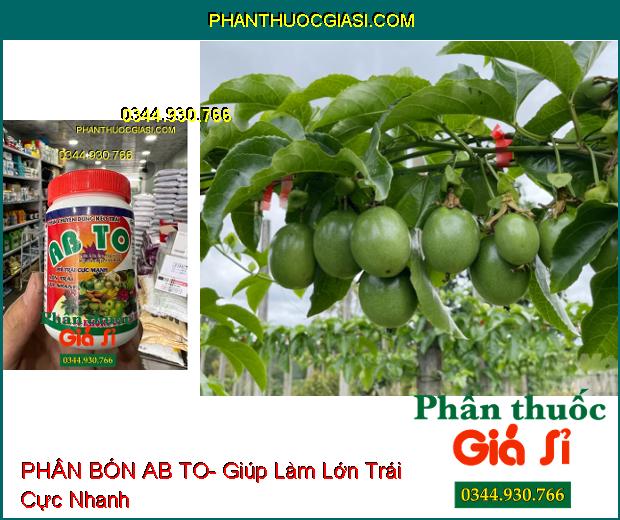 PHÂN BÓN AB TO- Phì Trái Cực Mạnh- Lớn Trái Cực Nhanh- Ngọt Trái