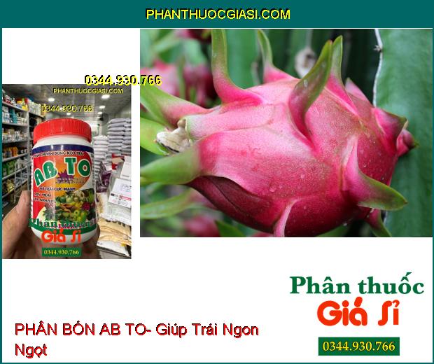 PHÂN BÓN AB TO- Phì Trái Cực Mạnh- Lớn Trái Cực Nhanh- Ngọt Trái