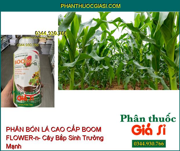 PHÂN BÓN LÁ CAO CẤP BOOM FLOWER-n- Cây Sinh Trưởng Mạnh- Tăng Ra Hoa- Giảm Rụng Trái