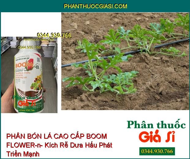 PHÂN BÓN LÁ CAO CẤP BOOM FLOWER-n- Cây Sinh Trưởng Mạnh- Tăng Ra Hoa- Giảm Rụng Trái