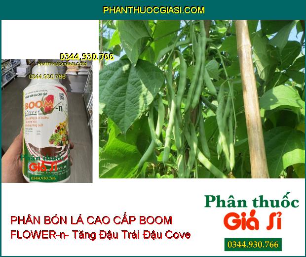 PHÂN BÓN LÁ CAO CẤP BOOM FLOWER-n- Cây Sinh Trưởng Mạnh- Tăng Ra Hoa- Giảm Rụng Trái