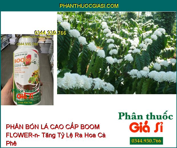 PHÂN BÓN LÁ CAO CẤP BOOM FLOWER-n- Cây Sinh Trưởng Mạnh- Tăng Ra Hoa- Giảm Rụng Trái